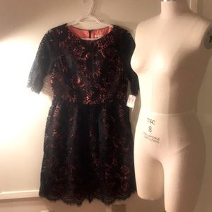 SHOSHANNA NWT sz 6 coral black lace dress career